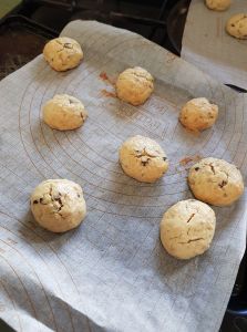 Biscuit 1