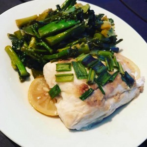 Snapper 3