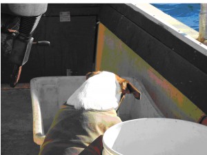 fishing-1 (1)