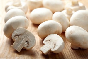 mushroom