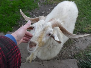 sam_0521