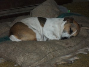 tex-exhausted