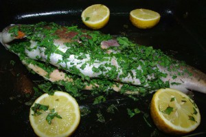 trout cook
