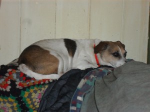 SAM_0450_1