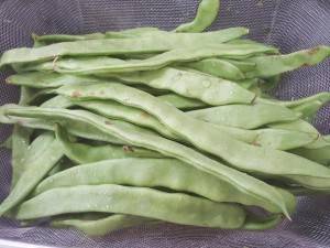 mid-week-veg-middle-eastern-style-1