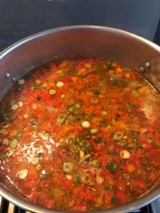 VEGETABLE SOUP 8
