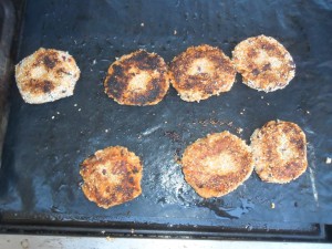 VEGETARIAN BURGERS 2