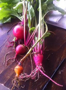 beetroot