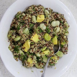 Using broad beans 1