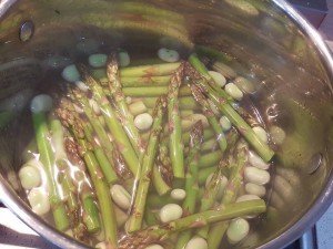 broad-bean-time-3